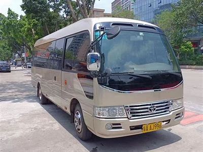 探秘豪华国产中巴车：舒适与性价比的完美结合