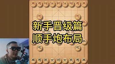 国产小钢炮全方位拆解视频揭秘：性能与工艺详解