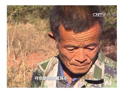 国产毒物主题电影解说视频下载：精彩调查与深度解析