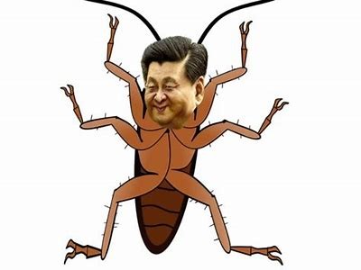 闃冲北姘磋湝妗冭吘璁棰?铚滄涔岄緳濂惰尪鐨勫埗浣滆棰?相关调查总结与检视