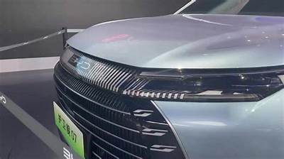 国产短板车解析：性能优缺点与市场前景检视