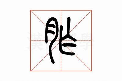 铚滄铔嬬硶：解析棰?妗冭棰?与现状研究