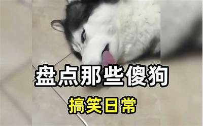 国产T先生最新视频分享：精彩瞬间与深度解析
