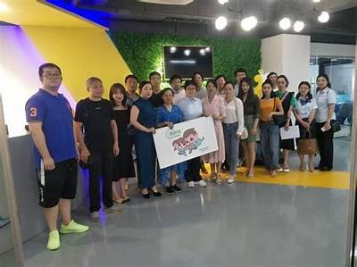 如何在国产动漫行业开创事业：视频分享与成功案例研究
