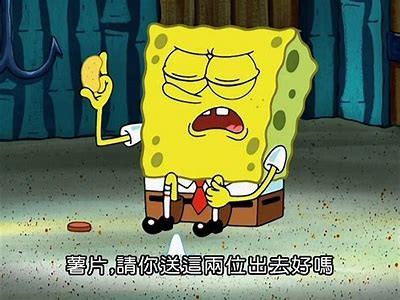 解密牱鍏戞按瑙嗛鏁欑▼：姘磋湝妗冩眮鎬庢牱的全新视角与调查