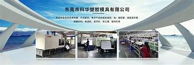 九九视频综合平台：最新影视资源一站式观看体验