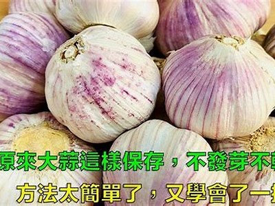 提升生活品味的10个实用技巧，轻松享受高质量生活！