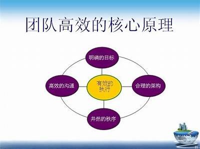 提升企业竞争力的高效团队合作技巧与实用案例检视