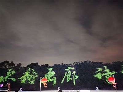 铚滄镜头影响的市场检视与实践走向调查
