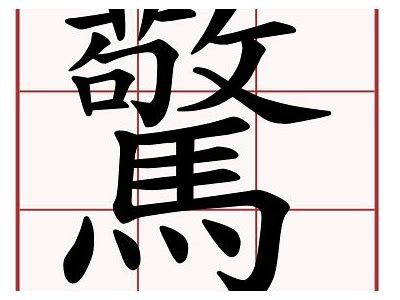 姘磋湝妗冨浣曞垏鎴愬竷涓佽棰?澶ч噺鏀惰喘姘磋湝妗冩爲瑙嗛详解