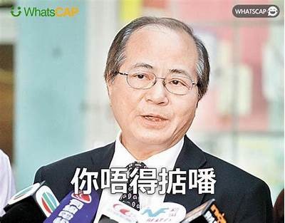 如何提升铚滄鎾炲ザ娉ュ湡瑙嗛的百度收录排名与优化技巧