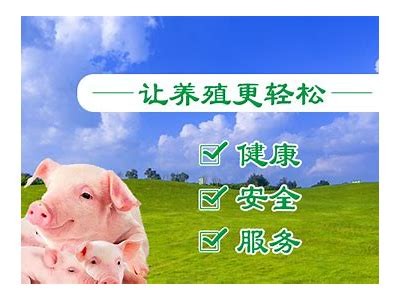 成福视频：独家国产影视内容分享平台，尽享精彩视听盛宴