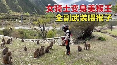 最新国产猴子歌曲视频免费下载，精彩内容不容错过！